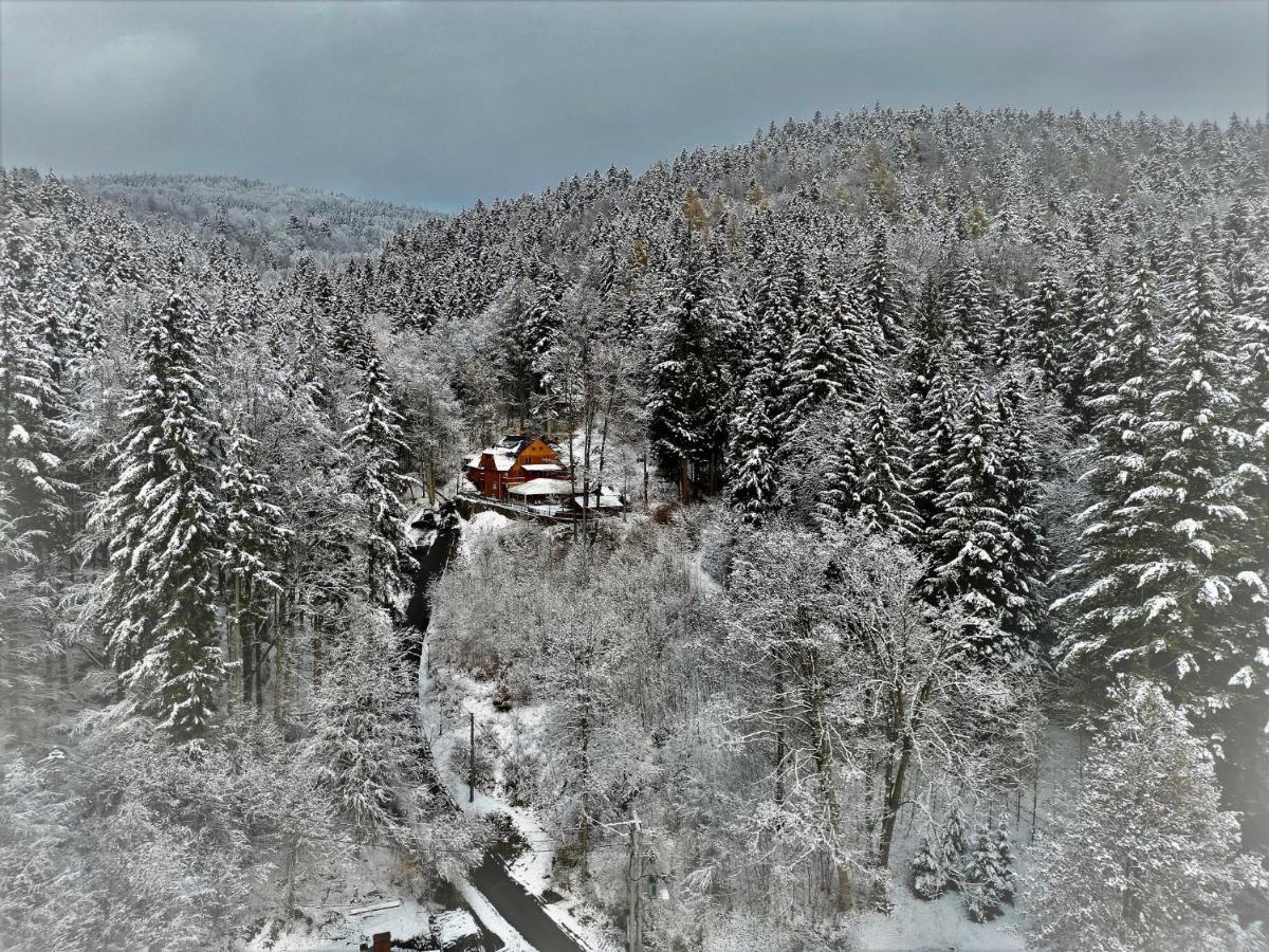 Pensjonat Alpejski Dwor Wölfelsgrund Exterior foto